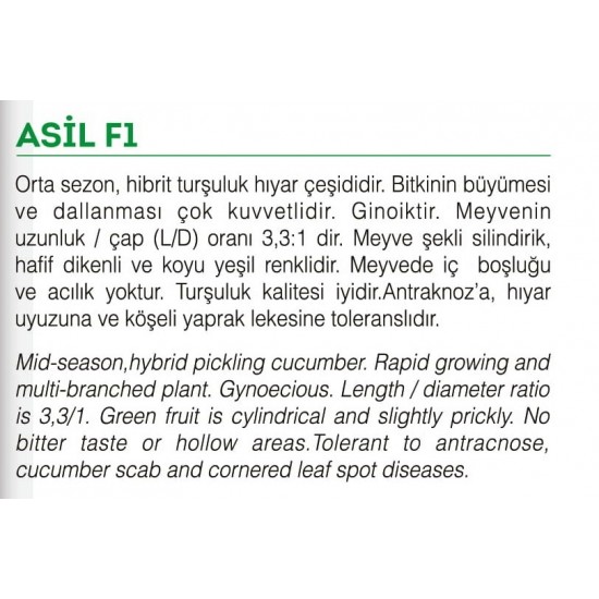 ASİL F1 HYBRİT SALATALIK KORNİŞON HIYAR TOHUMU 10 GR ASİL F1 HYBRİT SALATALIK KORNİŞON HIYAR TOHUMU 10 GR